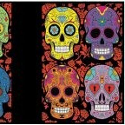 Mexican skulls, ring binder