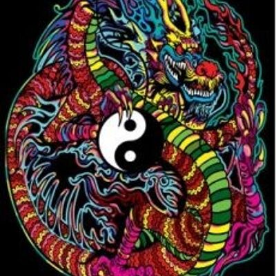 Dragón Yin y Yang, pintura