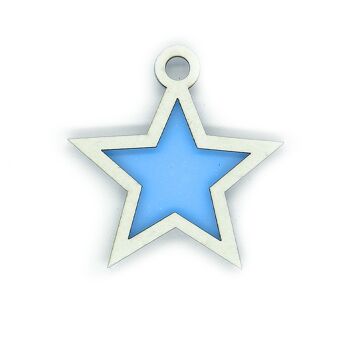 Mini shaker étoile à 5 branches (SKU: SKP033)