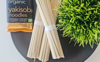 Nouilles Yakisoba Bio Hakubaku 1