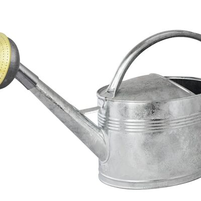 watering can 10 L galvanized apple galvanized brass grid