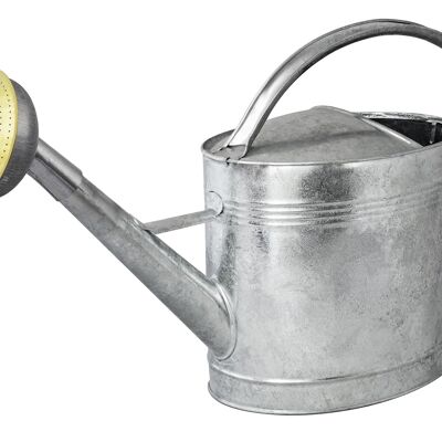 Galvanized 13L watering can + Galvanized showerhead with brass grid