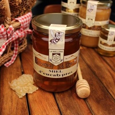 Eucalyptus honey 750g