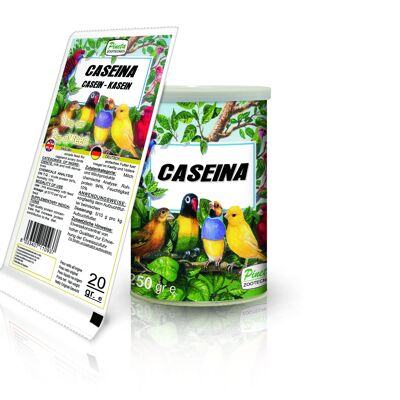 Pineta - Pineta Caseina, 92% De Proteina, 20gr