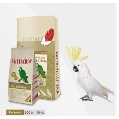 PSITTACUS - Psittacus Pienso alta proteína 800 g