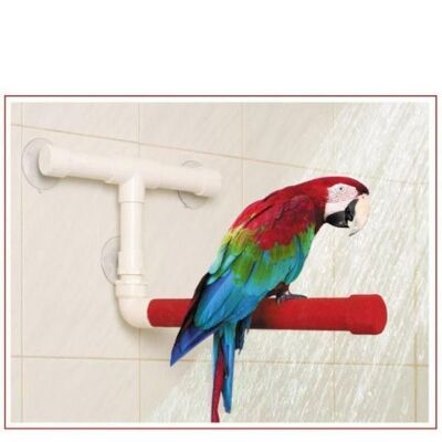 Sun Parrots - Percha Sundy Perch Shower Fun medium