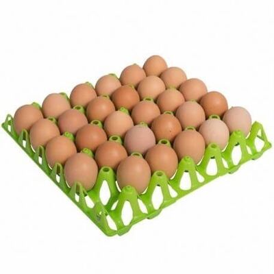 Copele - Bandeja Plástica para 30 huevos