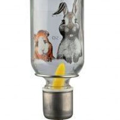 Trixie - Bebedero TRIXIE HONEY HOPPER cristal para conejos y roedores 250 ml