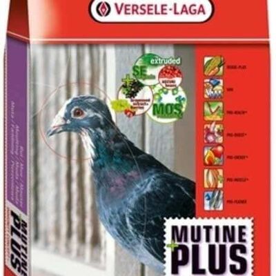 Versele-laga - Mixtura para palomas MUTINE PLUS IC VERSELE LAGA 20 kg