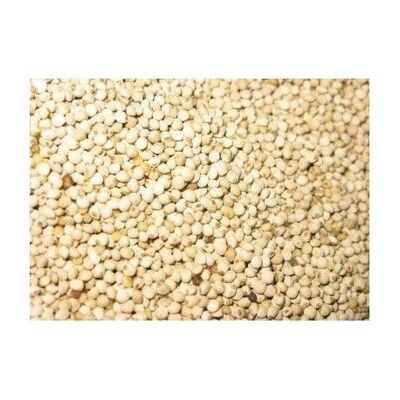 Jarad - semilla de Perilla Blanca JARAD 700 gr. para aves