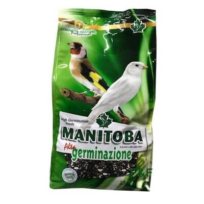 Manitoba - Mixtura de semillas para germinación Bianco MANITOBA 2.5 kg