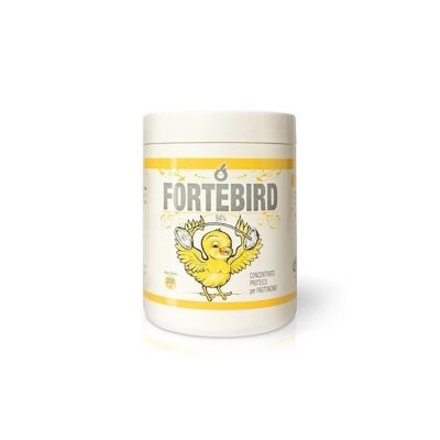 CHEMIFARMA SPA - Concentrado de proteinas FORTEBIRD CHEMIFARMA para aves, bote 250 gr