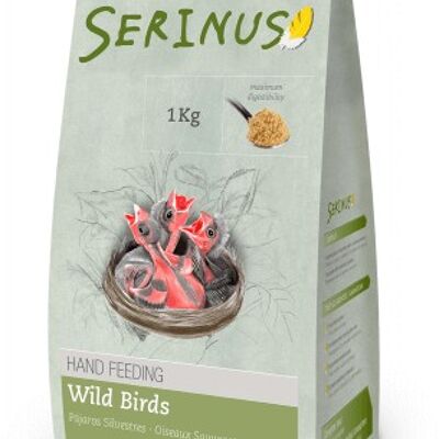 Serinus - Serinus papilla Silvestres 1 kg