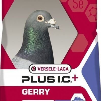 Versele-laga - alimento completo para palomas GERRY MIX VERSELE LAGA 20 kg