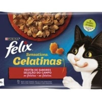 Purina - FELIX SENSATIONS selección de sabores carne, para gatos 4 x 100 gr