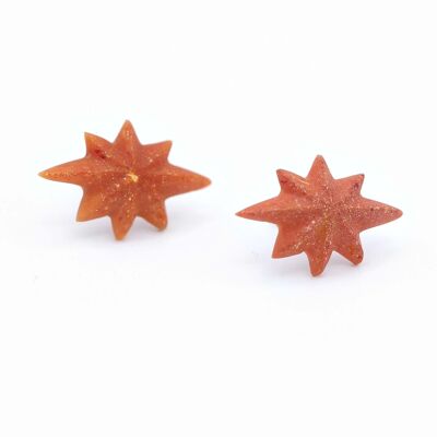 Shepherd's Star - Coral - Stud earrings