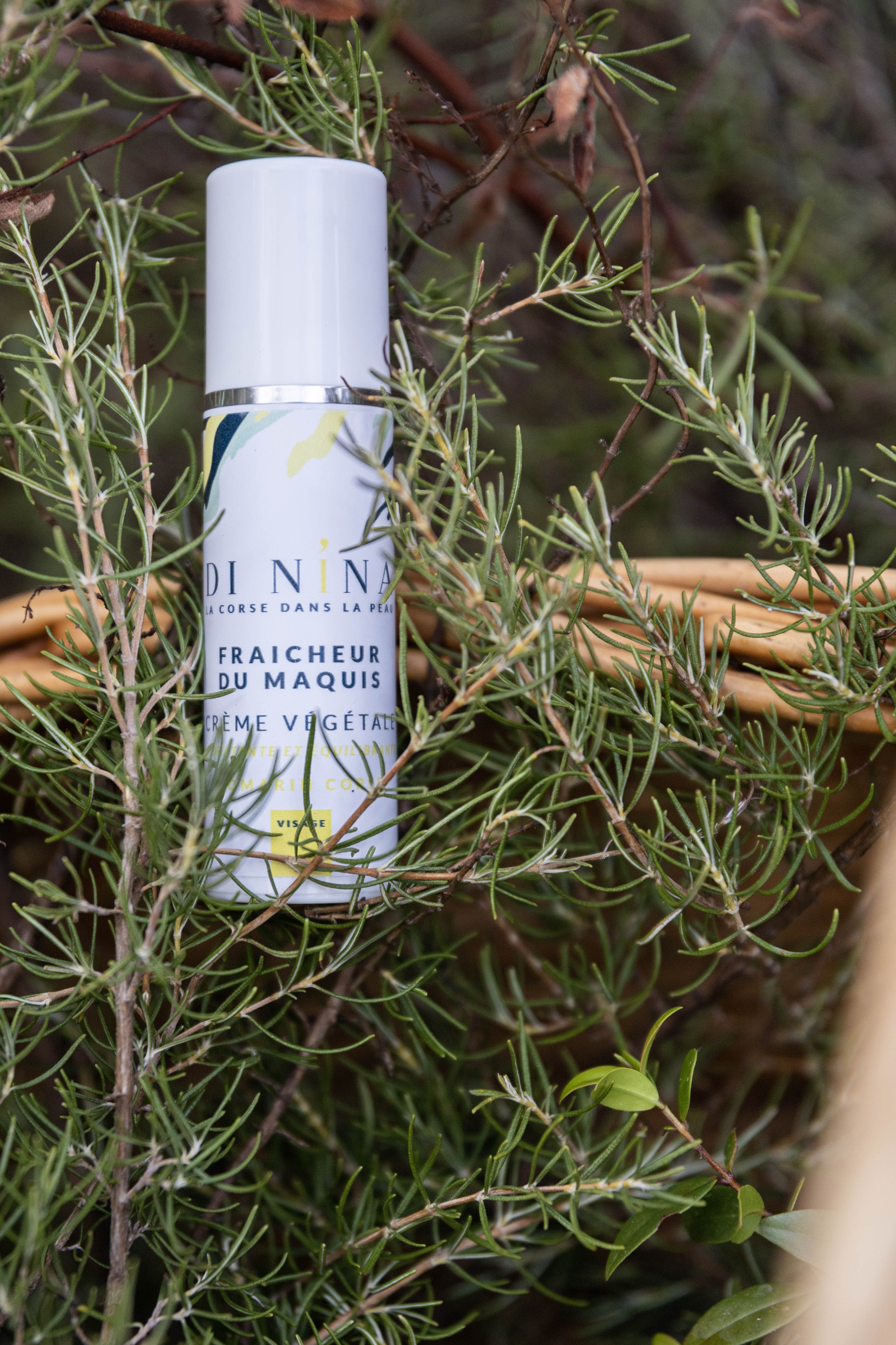 Rosemary face cream FRAICHEUR DU MAQUIS