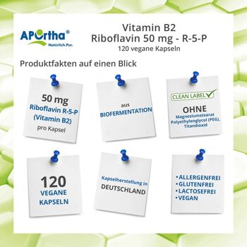 Vitamine B2 - Riboflavine 50 mg - R-5-P - 120 gélules végétaliennes 2