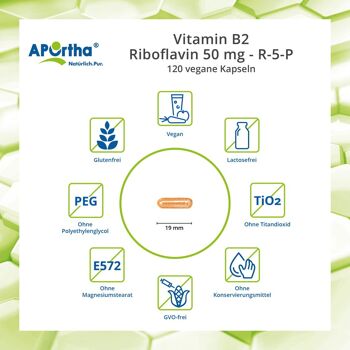 Vitamine B2 - Riboflavine 50 mg - R-5-P - 120 gélules végétaliennes 3