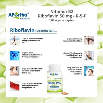 Vitamine B2 - Riboflavine 50 mg - R-5-P - 120 gélules végétaliennes 4