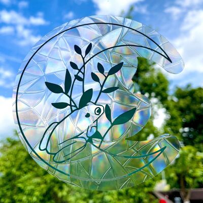 Mond-Frosch Suncatcher-Aufkleber