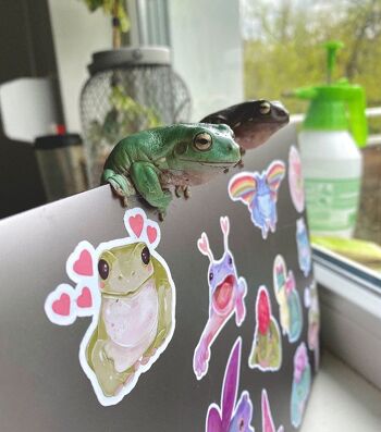 3 Yoga Frog Vinyl Sticker