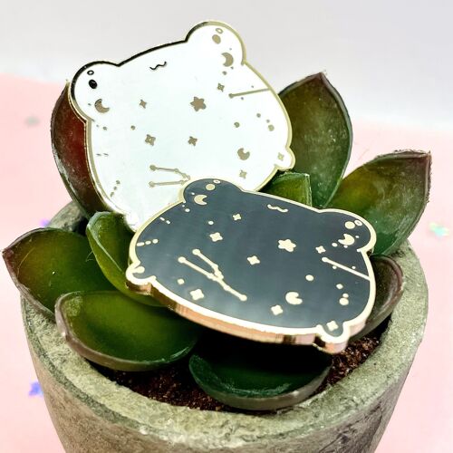 Star Constellation Frog Pin