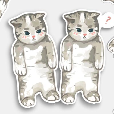 Confused Cat Stickers | Pack of 2 | Sticker Pack | Laptop Sticker | Vinyl Sticker | Deco Stickers | Cute Sticker | Waterproof| Meme Sticker