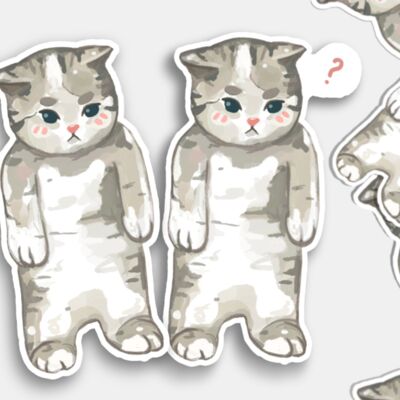 Confused Cat Stickers | Pack of 2 | Sticker Pack | Laptop Sticker | Vinyl Sticker | Deco Stickers | Cute Sticker | Waterproof| Meme Sticker