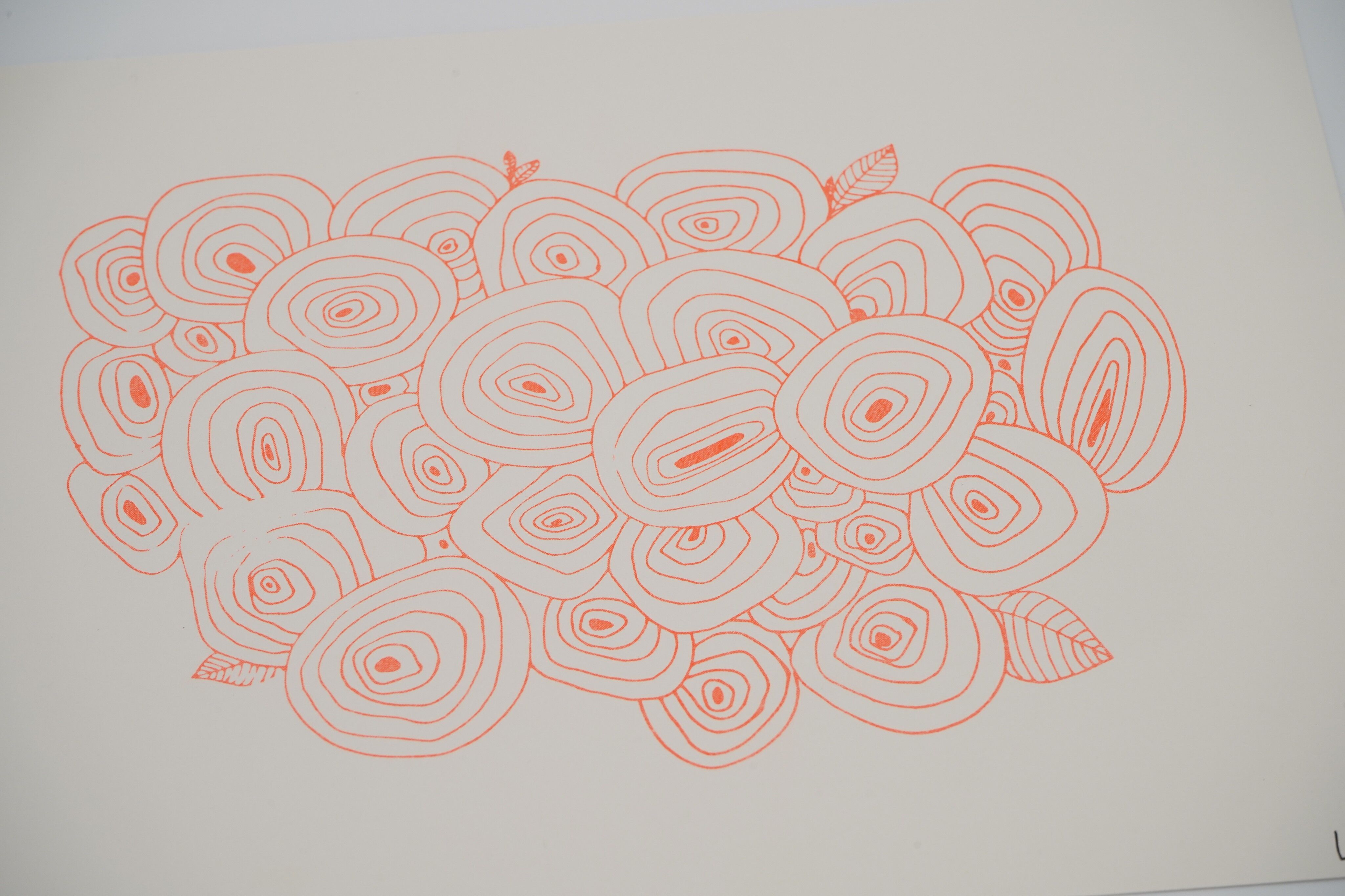 Rose | Manifesto A55