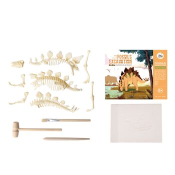 Kit d'excavation de fossiles - Stegosaurus 2
