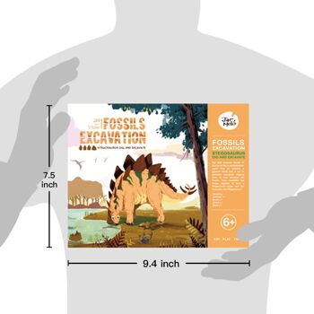 Kit d'excavation de fossiles - Stegosaurus 5