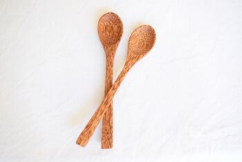 Cuillère à noix de coco - 19 cm | Réutilisable et biodégradable 1