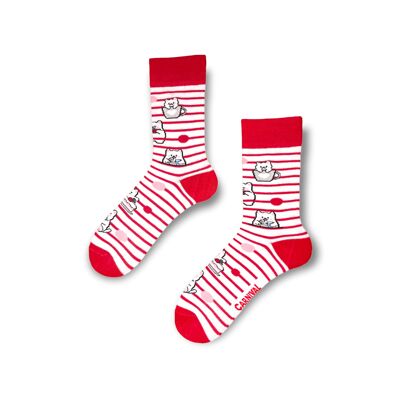 Novelty Socks for Men and Women | Patterned Socks Unisex | Funky Socks | Fun Colourful Silly Cotton Socks | Best Funny Crazy Happy Gifts for Men and Women | Carnival Kittens | Pair