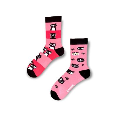 Novelty Socks for Men and Women | Patterned Socks Unisex | Funky Socks | Fun Colourful Silly Cotton Socks | Best Funny Crazy Happy Gifts for Men and Women | Carnival Silly Cats | Odd Mismatching