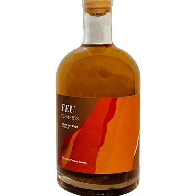 Elementi della gamma di rum BIOLOGICI: FUOCO, Banana; Peperoncino - 70cl