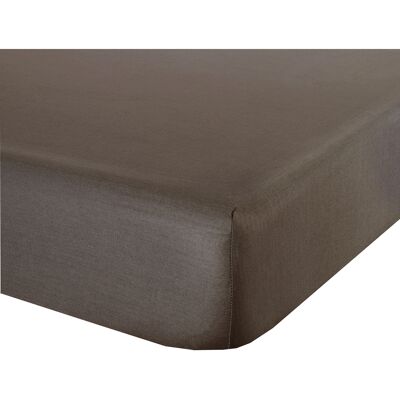 Fitted Sheet, Cocoa (DIG780279)
