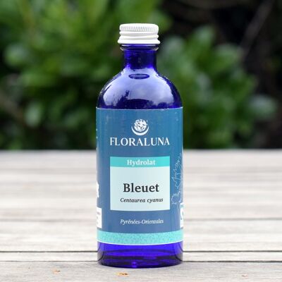 Bleuet - Hydrolat bio - 100 mL