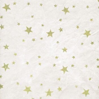 Feuilles d'emballage cadeau Star Design Lokta 3