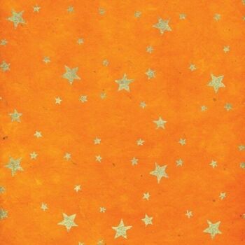 Feuilles d'emballage cadeau Star Design Lokta 5