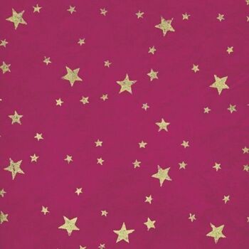 Feuilles d'emballage cadeau Star Design Lokta 6