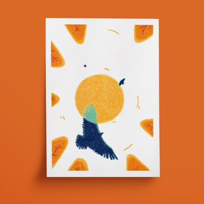 Postkarte - Die Adler