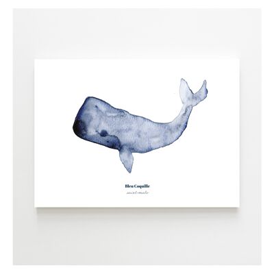 Poster decorativo di cancelleria 14,8 x 21 cm - La balena