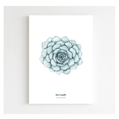 Papeterie Affiche Déco 14.8 x 21 cm - Succulente