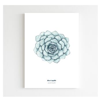 Papeterie Affiche Déco 14.8 x 21 cm - Succulente 1