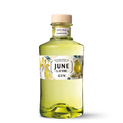 G'VINE JUNIO Pera Gin 0,7l / 37,5%vol