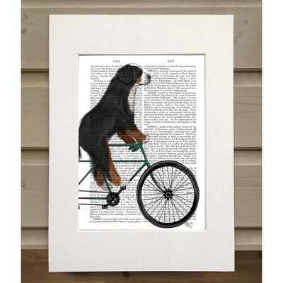 Bernese Mountain Dog On Bicycle, Book Print, Art Print, Wall Art