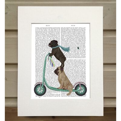 Pug Scooter, Book Print, Art Print, Wall Art