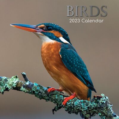 Calendrier 2023 Oiseaux nature