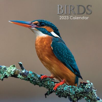 Calendario 2023 Naturaleza pájaros